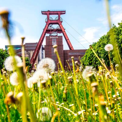 Klassenfahrt Ruhrgebiet - Zeche Zollverein Essen
